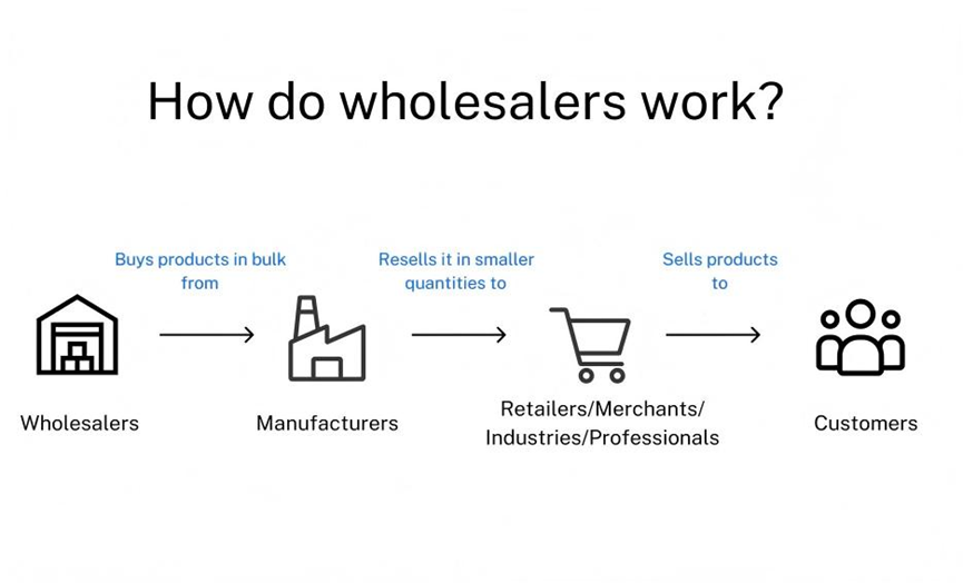 Wholesalers Explained: How They Power the Modern Supply Chain and E Commerce Growth